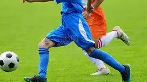 PP电子 产品 023601 2fy