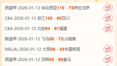 《揭秘NBA关键时刻：热火与魔术的巅峰对决！》