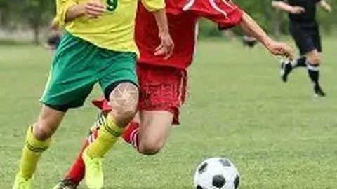 “雄狮队本土球员亮相，海外球员范迪三兄弟无缘本地联赛赛场”